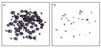 視覺檢測設(shè)備